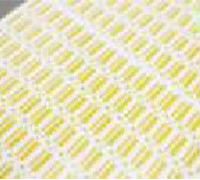 details1.png